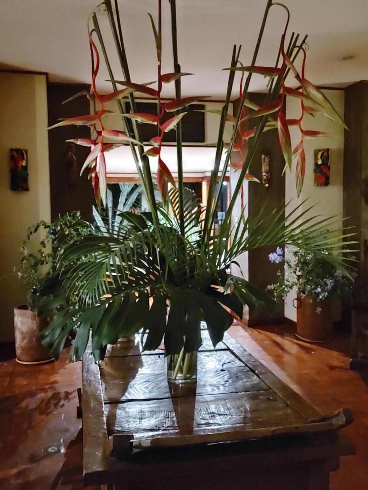 Canal Grande Lodge Piedades エクステリア 写真